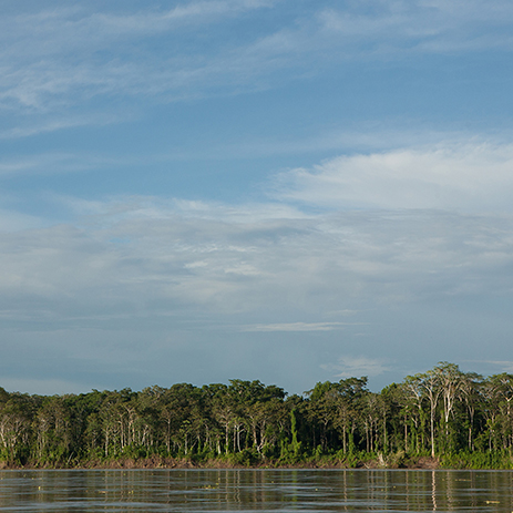 AMAZONAS 26 rio mosaico galeria_MG_4296.jpg